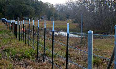 Barbed Wire